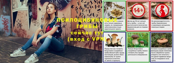 ГАЛЛЮЦИНОГЕННЫЕ ГРИБЫ Алзамай