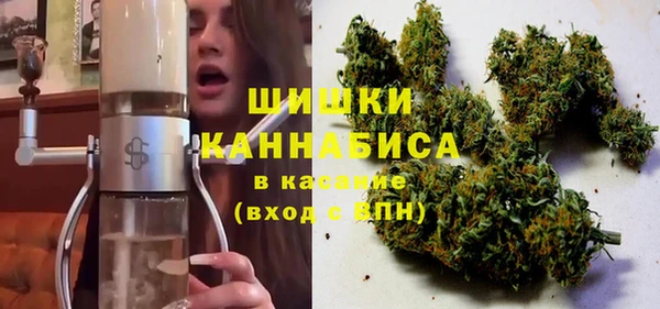 ГАЛЛЮЦИНОГЕННЫЕ ГРИБЫ Алзамай