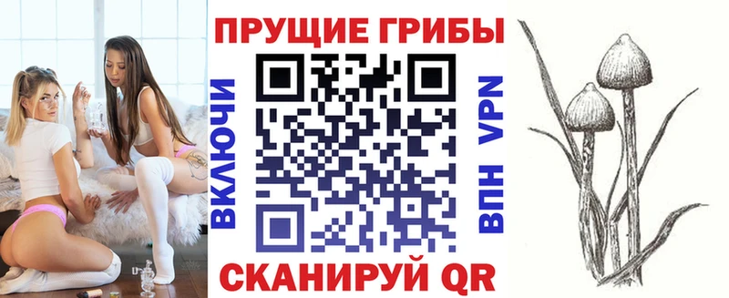 Галлюциногенные грибы MAGIC MUSHROOMS Дегтярск